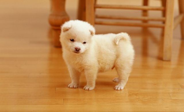 Mỗi giấc chiêm bao thấy cho đều ẩn chứa thông điệp riêng biệt Mỗi giấc chiêm bao thấy cho đều ẩn chứa thông điệp riêng biệt