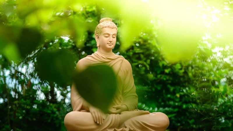 Mơ thấy Phật là điềm gì? Giải mã thông điệp tâm linh cực chính xác