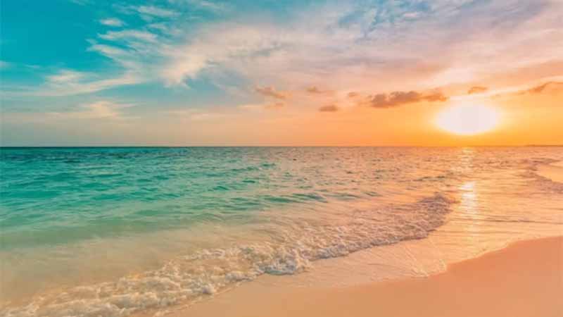 Mơ thấy biển báo hiệu điều gì? Giải mã điềm lành dữ cực chuẩn 