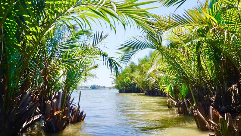 Mơ thấy sông nước là điềm gì? Báo hiệu tài lộc hay sóng gió?