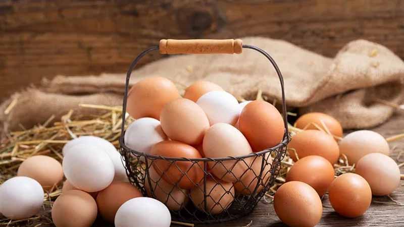 Mơ thấy trứng gà là điềm gì? Giải mã may mắn hay xui rủi
